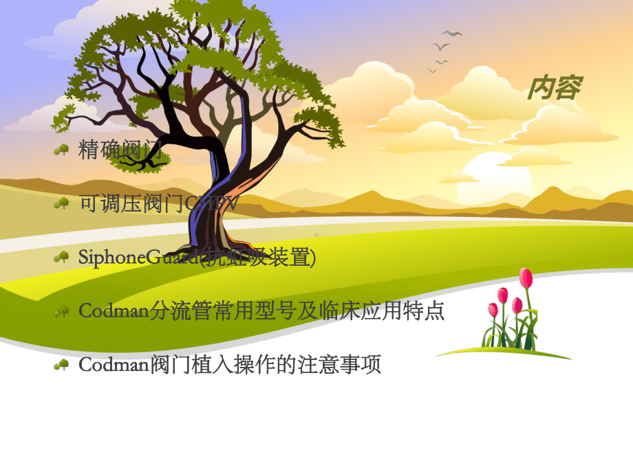 Codman分流管-ppt课件.ppt_第2页