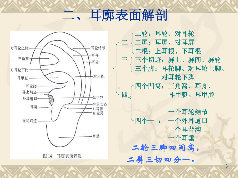 耳穴讲课PPT课件.ppt_第3页