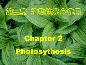 精品课程植物生理学-课件-3-光合作用-122页.ppt