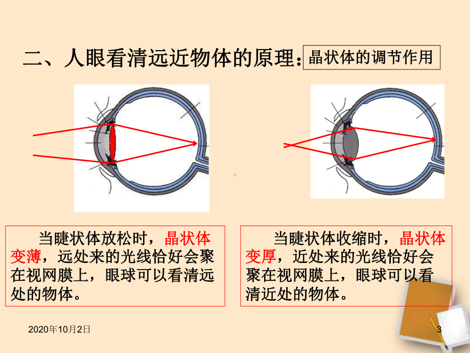 3.7眼睛与光学仪器PPT课件.ppt_第3页