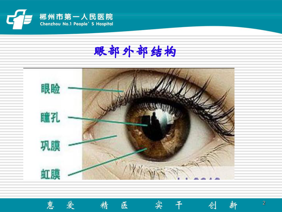 儿童眼部保健PPT课件.ppt_第2页