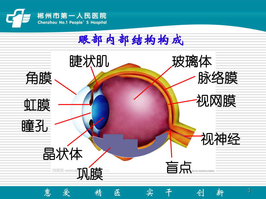 儿童眼部保健PPT课件.ppt_第3页