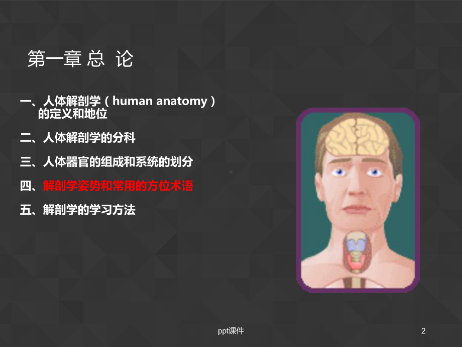 人体解剖学基本知识-ppt课件.ppt_第2页