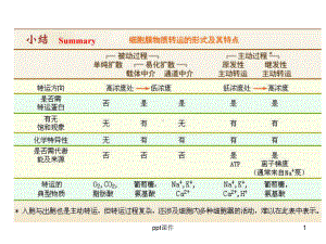 生理学期末复习-ppt课件.ppt