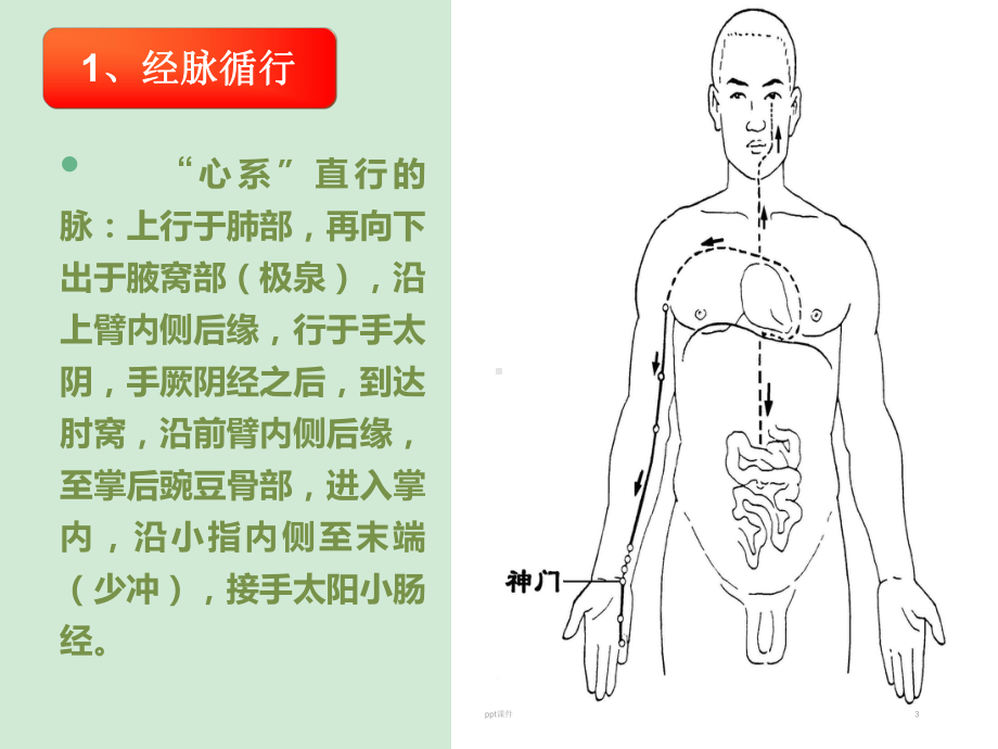 手少阴心经-ppt课件.ppt_第3页