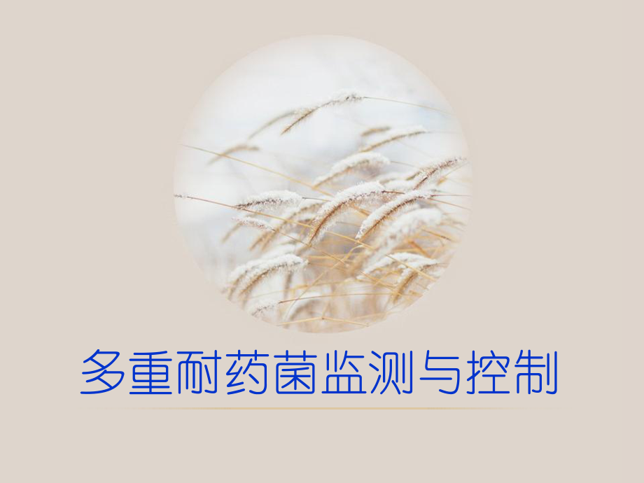 多重耐药菌监测与控制-ppt课件.ppt_第1页