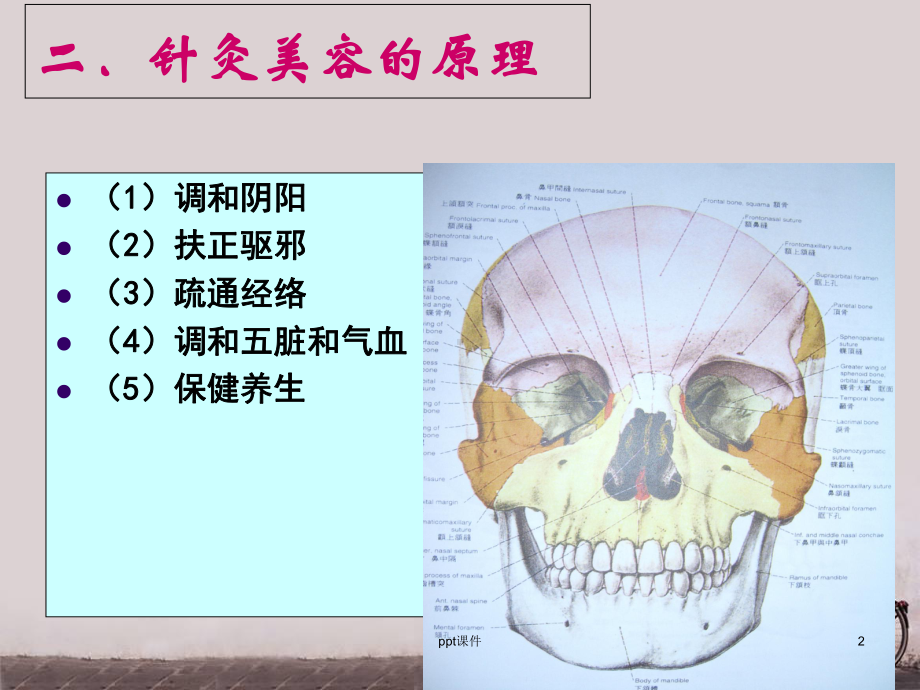 针灸美容-ppt课件.ppt_第2页