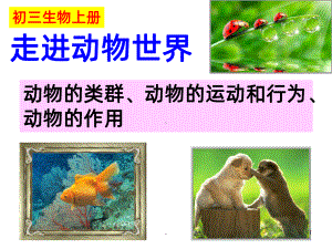 第一节腔肠动物和扁形动物PPT课件.ppt