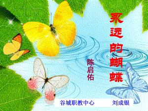 《永远的蝴蝶》课件.ppt