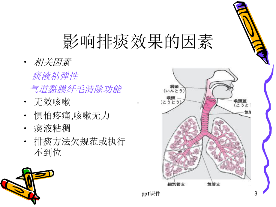 促进有效排痰-ppt课件.ppt_第3页