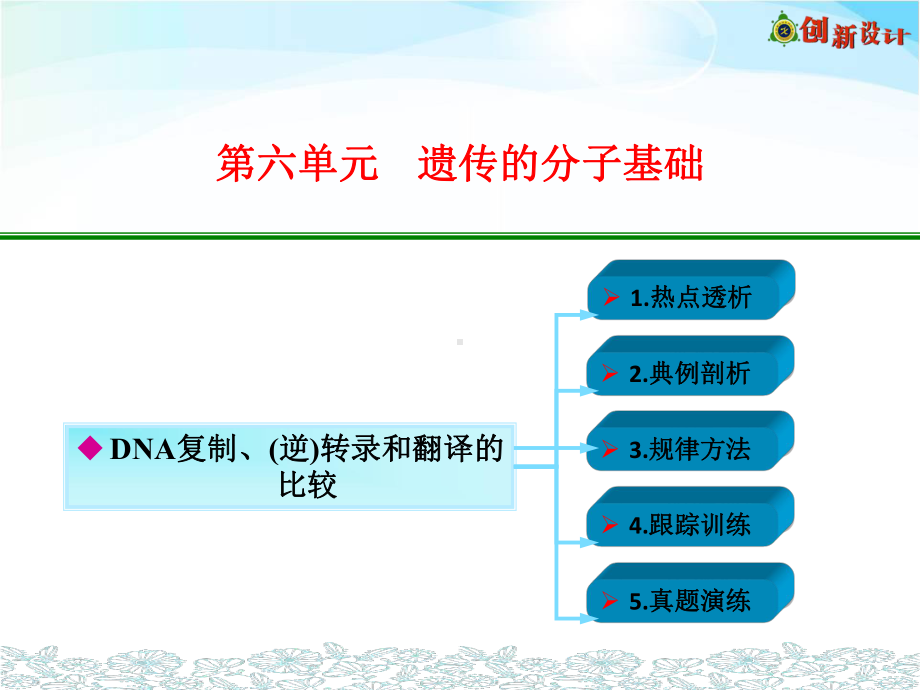 DNA复制转录和翻译的比较-ppt课件.ppt_第1页