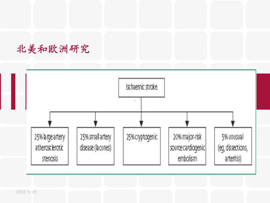 隐源性卒中-ppt课件.ppt_第2页