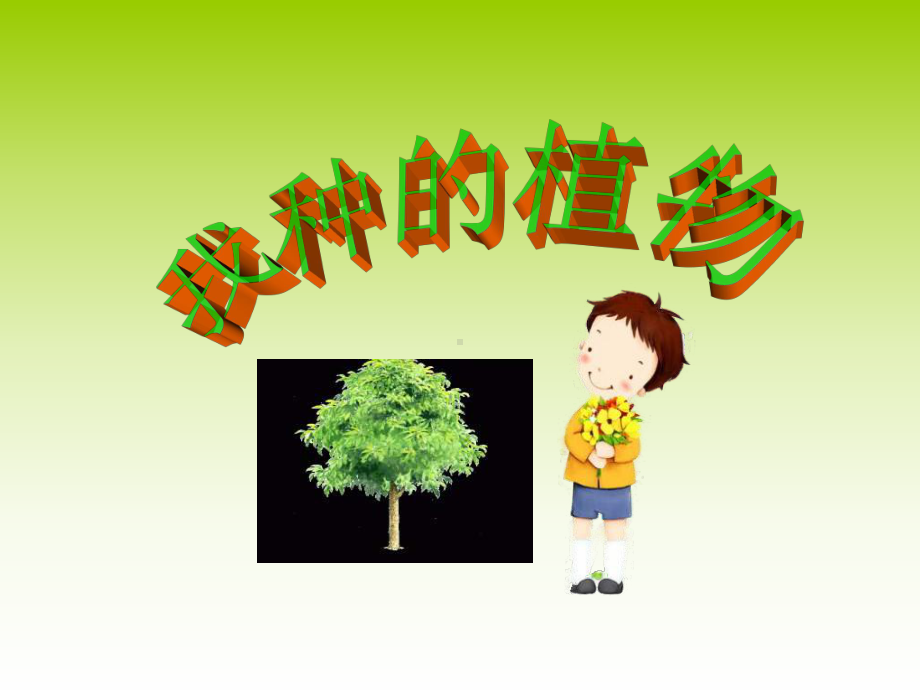 《我种的植物》课件.ppt_第1页