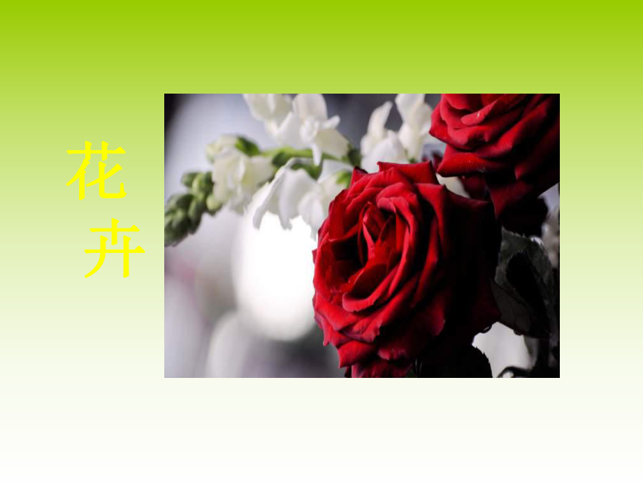 《我种的植物》课件.ppt_第3页