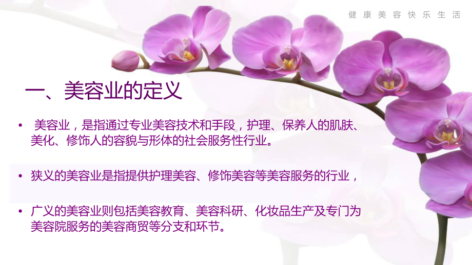 美容业简介PPT课件.ppt_第2页