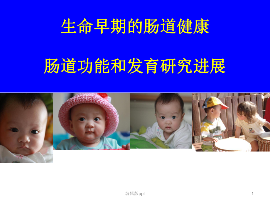 肠道健康-ppt课件.ppt_第1页