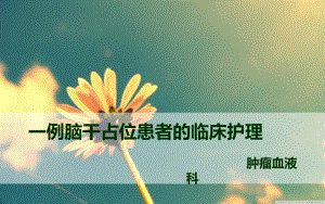 脑干占位PPT课件.ppt