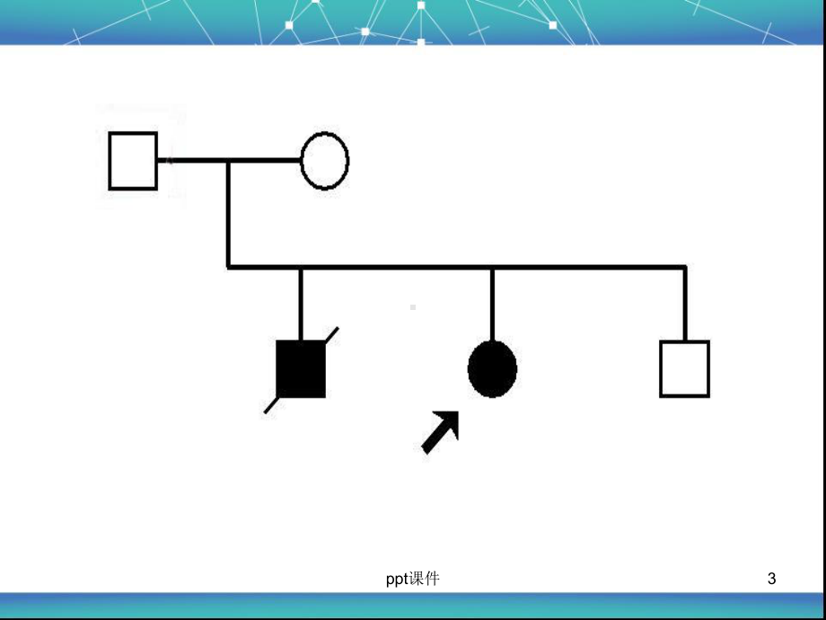 肝豆状核变性-ppt课件.ppt_第3页