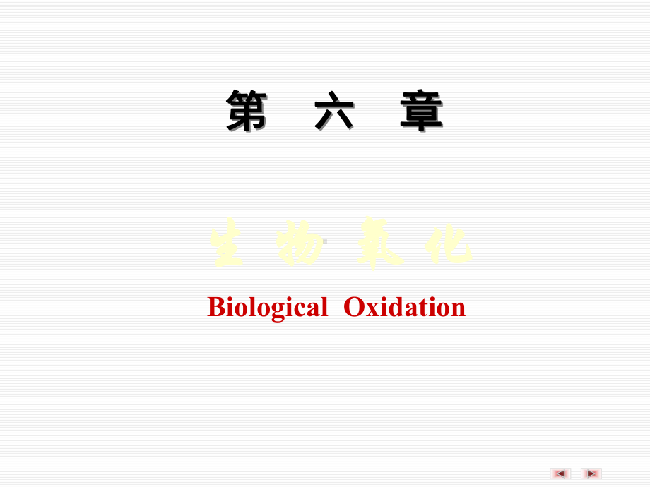 第6章生物氧化ppt课件137页PPT.ppt_第1页