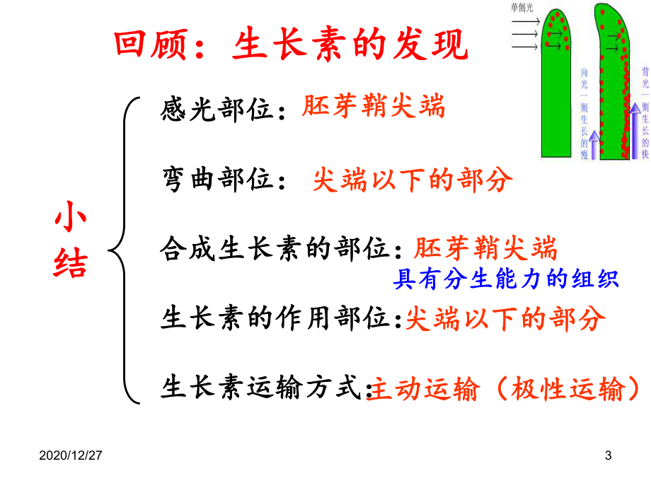 生长素的生理作用-ppt课件.ppt_第3页