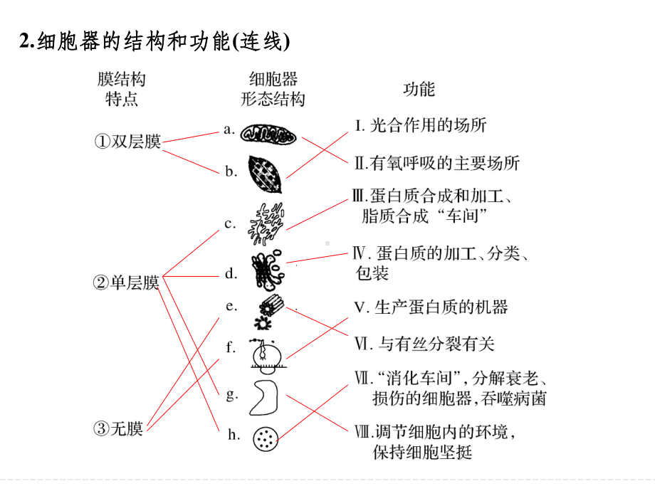 一轮复习细胞器与生物膜系统ppt课件.ppt_第3页