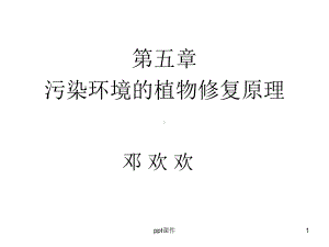 污染环境的植物修复原理-ppt课件.ppt