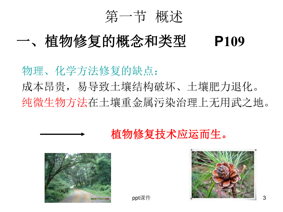 污染环境的植物修复原理-ppt课件.ppt_第3页