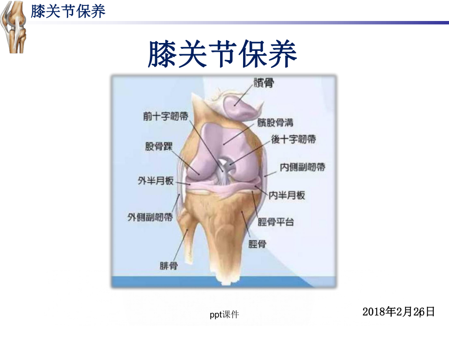 膝关节保养-ppt课件.ppt_第1页