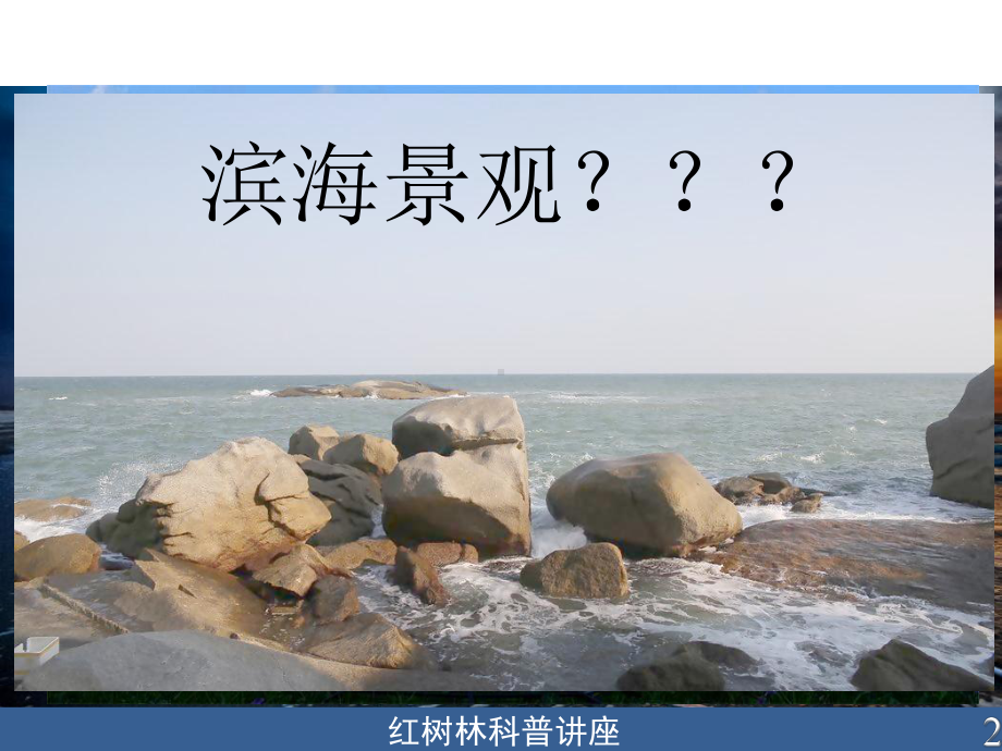 红树林科普讲座-ppt课件.ppt_第2页