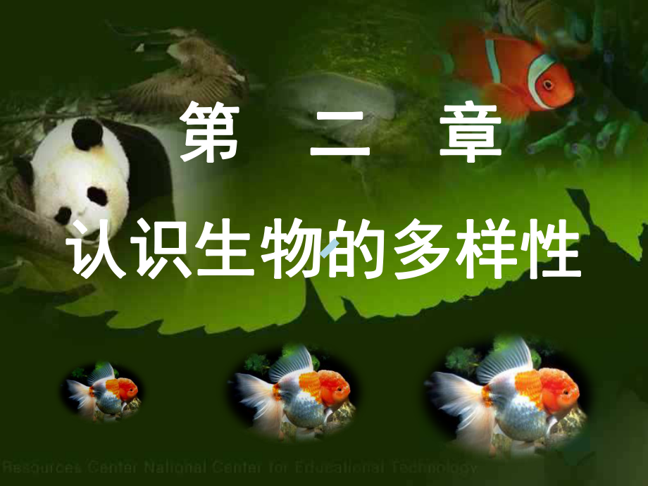 认识生物的多样性课件.ppt_第1页