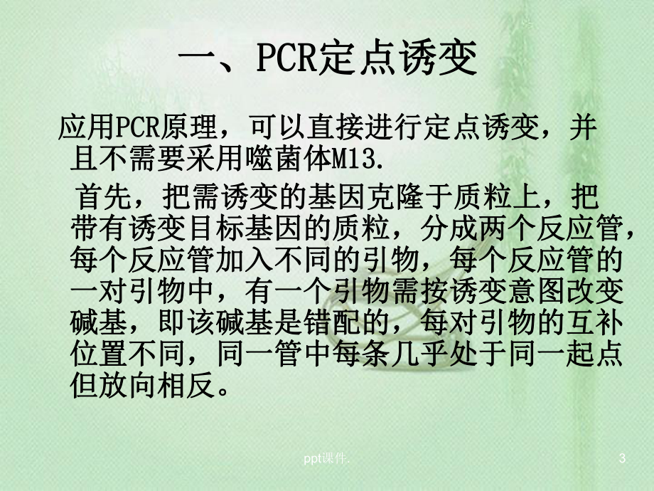 PCR诱变ppt课件.ppt_第3页