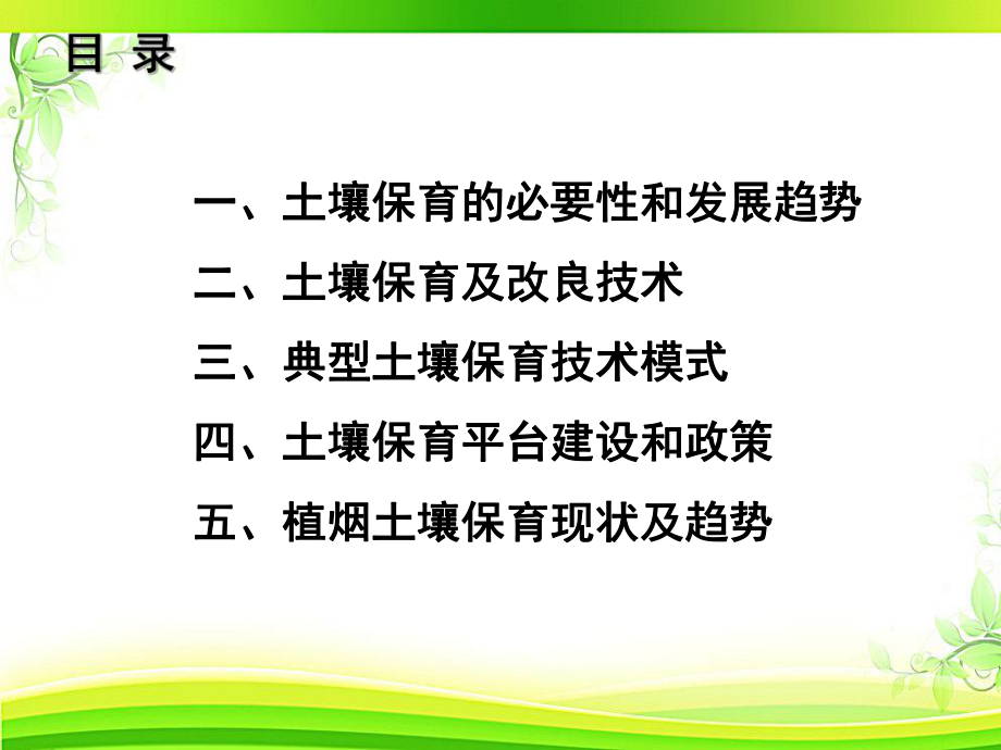 土壤保育-ppt课件.ppt_第2页