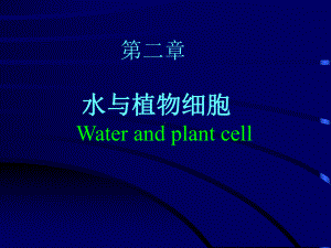 植物生理学-水与植物细胞-ppt课件.ppt