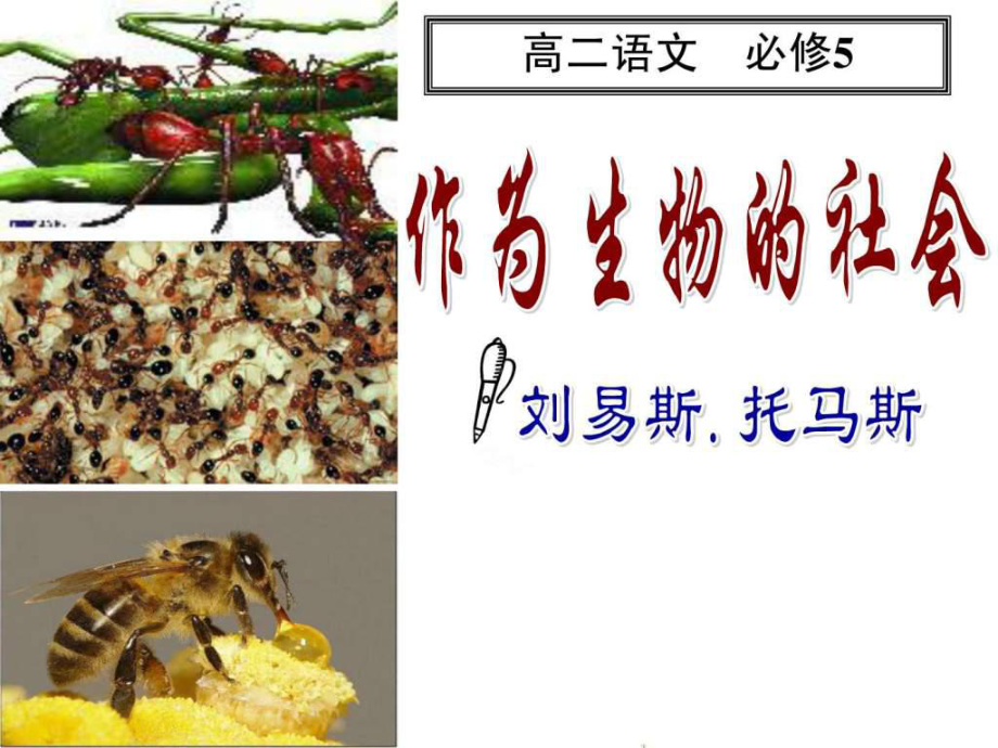 《作为生物的社会》优秀课件共53页文档.ppt_第2页