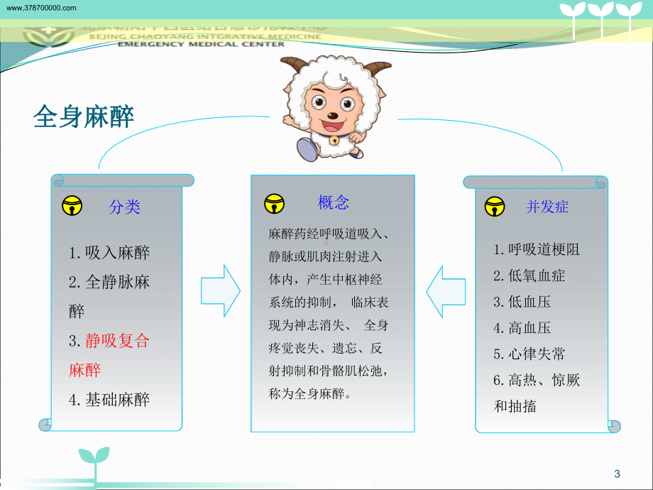 常见的麻醉方式及注意事项PPT课件.ppt_第3页