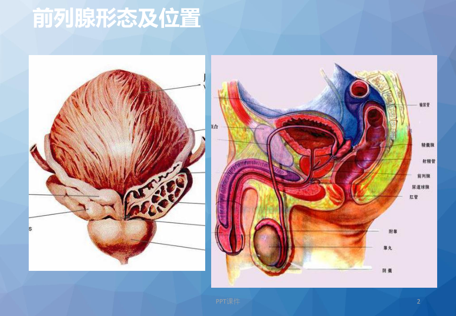 精浊-ppt课件.ppt_第2页