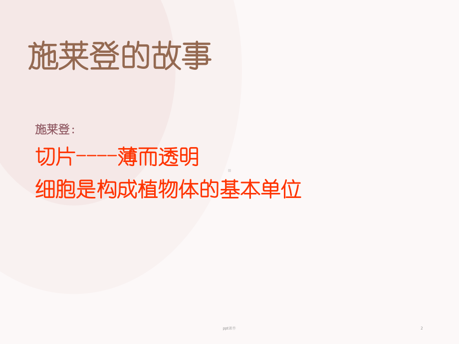 植物细胞的结构和功能-ppt课件.ppt_第2页