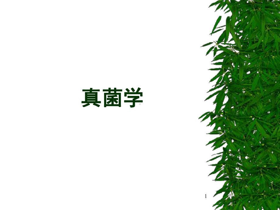 真菌PPT课件.ppt_第1页