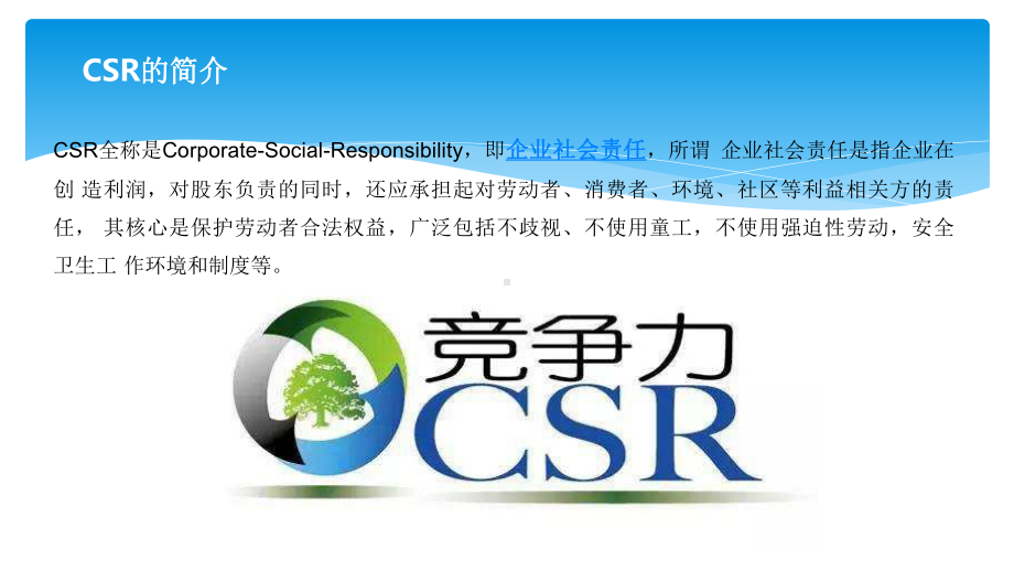 CSR培训教材精品PPT课件.pptx_第2页