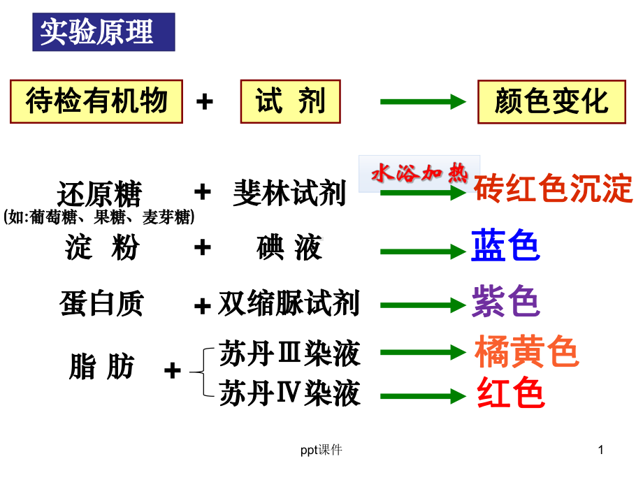 糖类脂肪蛋白质的检测-ppt课件.ppt_第1页