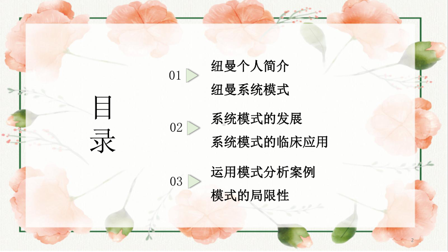 纽曼的系统模式!ppt课件.ppt_第2页