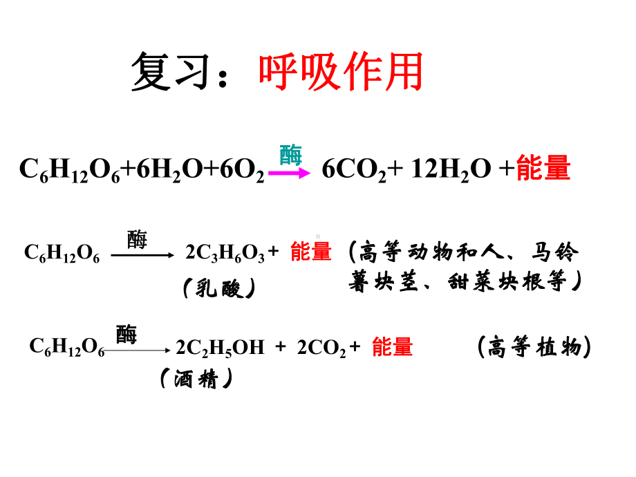 光合作用复习-ppt课件.ppt_第2页