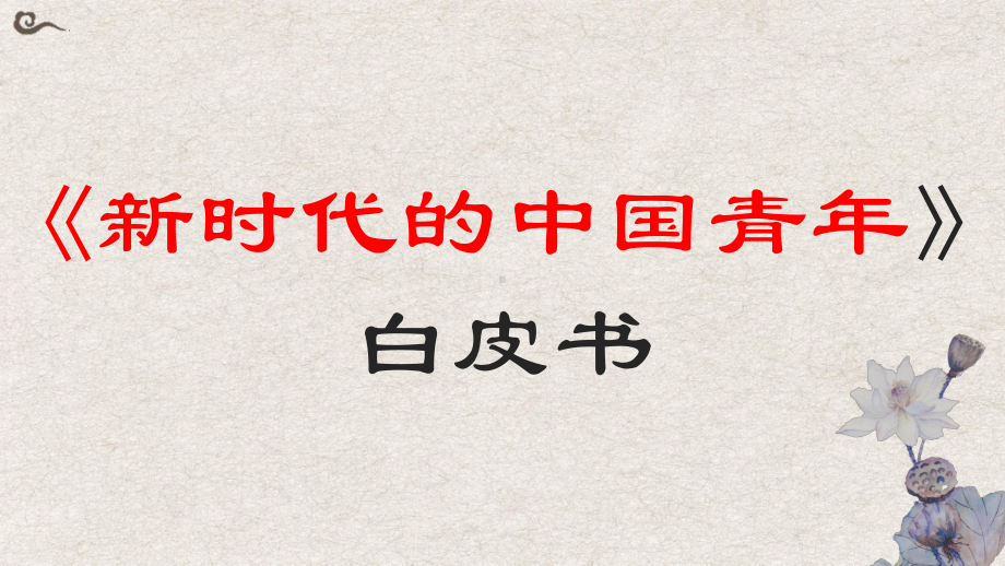 2023届高考写作指导：《新时代的中国青年》白皮书.ppt_第2页