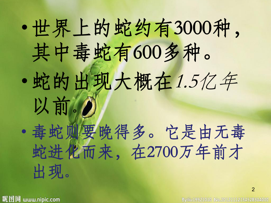 蛇的介绍PPT课件.ppt_第2页