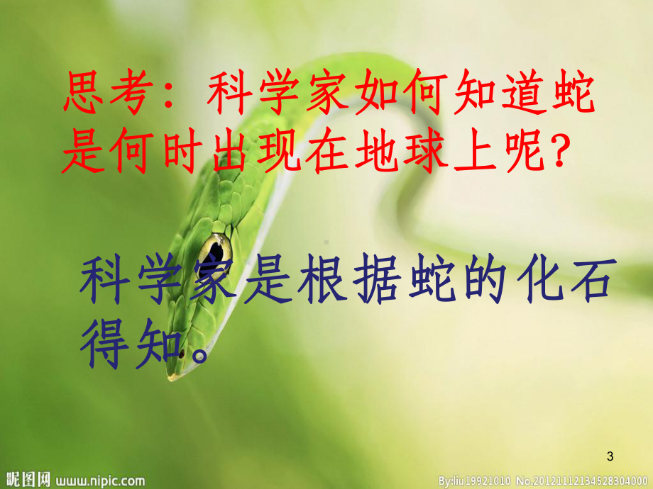 蛇的介绍PPT课件.ppt_第3页