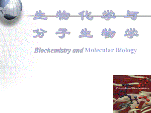 生物化学与分子生物学-ppt课件.ppt