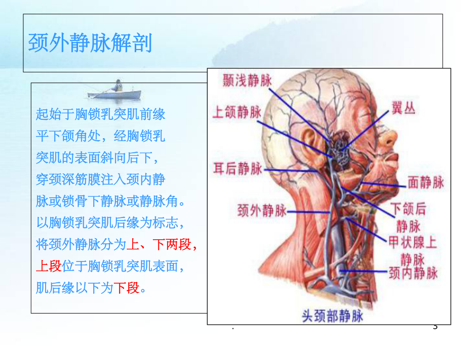 颈外静脉穿刺PPT课件.ppt_第3页