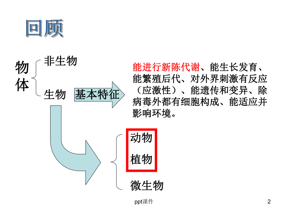 常见的动物(动物的分类)-ppt课件.ppt_第2页