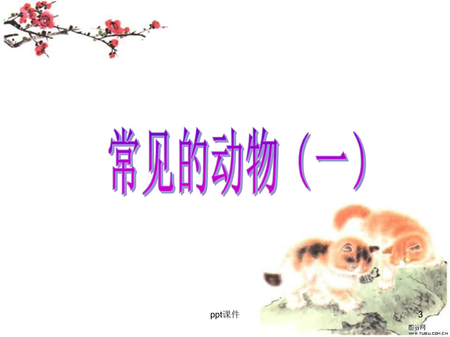 常见的动物(动物的分类)-ppt课件.ppt_第3页