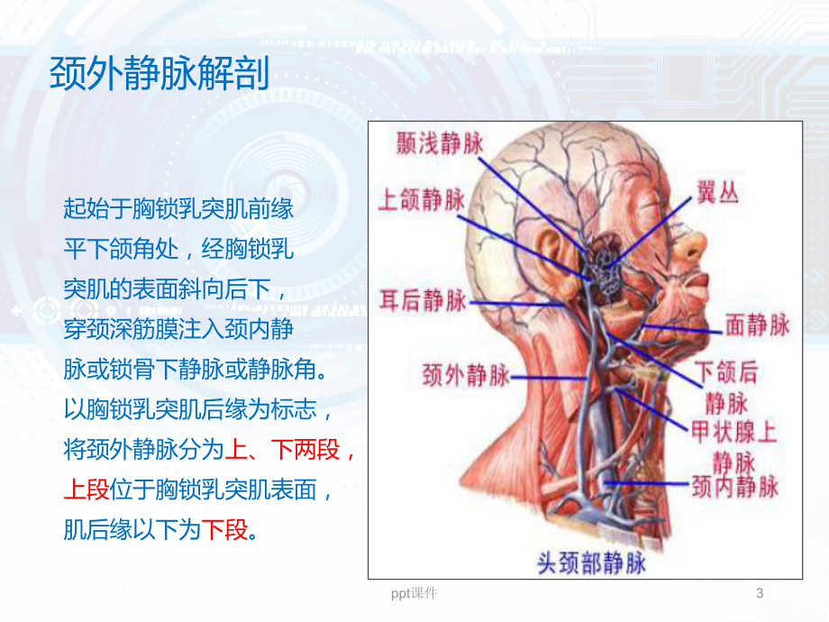 颈外静脉留置针穿刺技巧-ppt课件.ppt_第3页